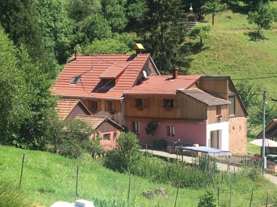 Gite De La Grande Verrerie 6 Personnes Ribeauville Extérieur photo